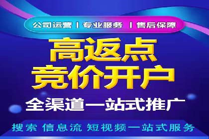 行业领先的SEM投放效果案例解析